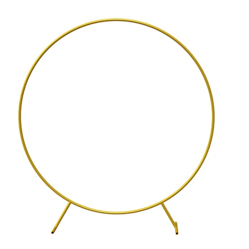 2m Balloon Display Hoop