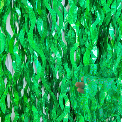 Metallic Foil Fringe Curtains