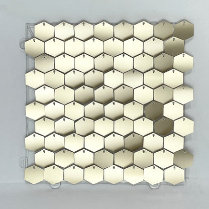 Hexagonal Sequin Panel (Shimmer Wall) 12/16/18pcs