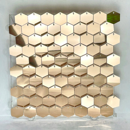 Hexagonal Sequin Panel (Shimmer Wall) 12/16/18pcs