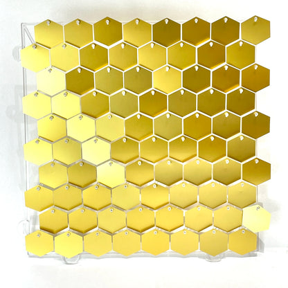 Hexagonal Sequin Panel (Shimmer Wall) 12/16/18pcs